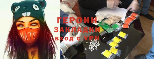 индика Каменка