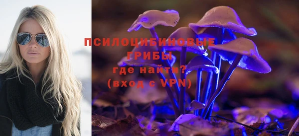индика Каменка