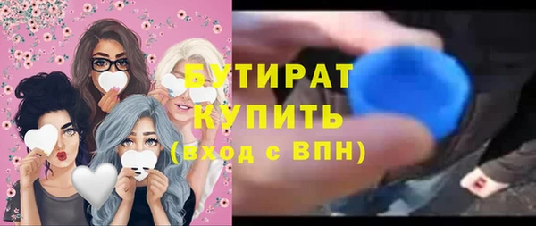 индика Каменка