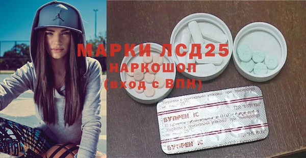 индика Каменка