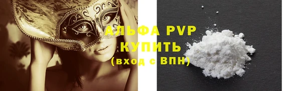 индика Каменка