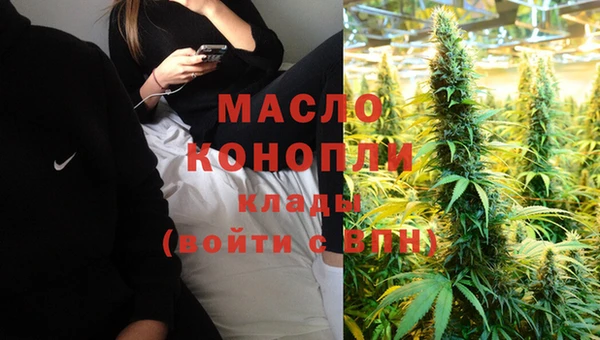 индика Каменка
