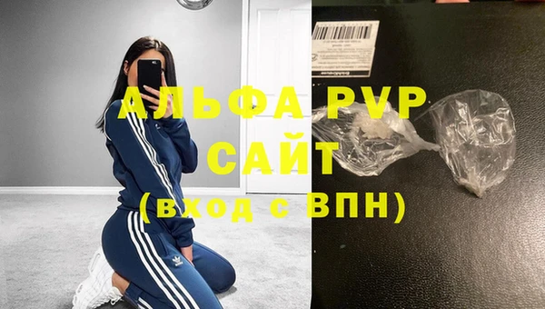 индика Каменка