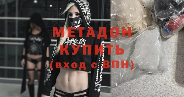 индика Каменка
