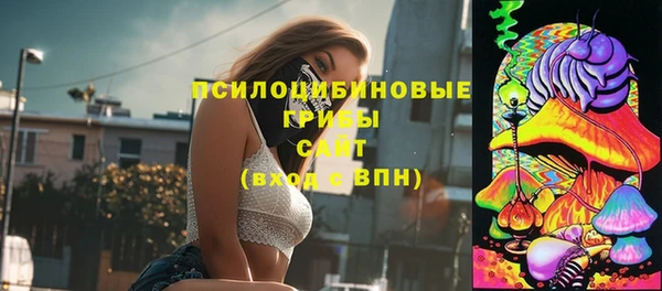 Альфа ПВП Каменногорск