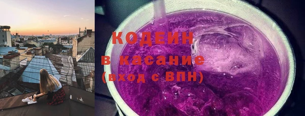 индика Каменка