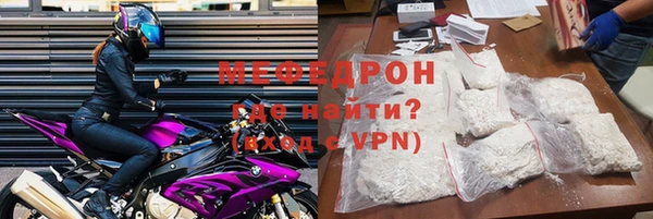 индика Каменка