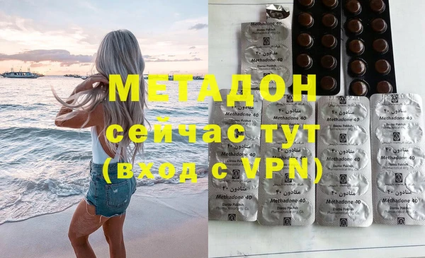 индика Каменка