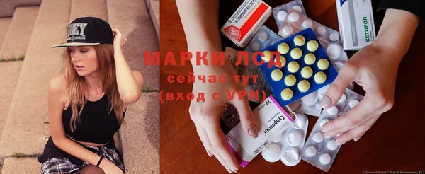 индика Каменка