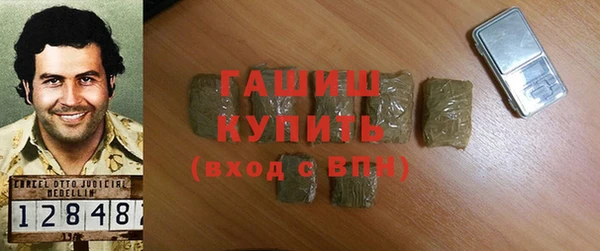 индика Каменка