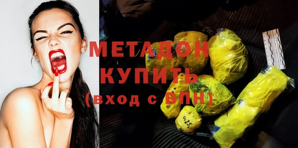 индика Каменка